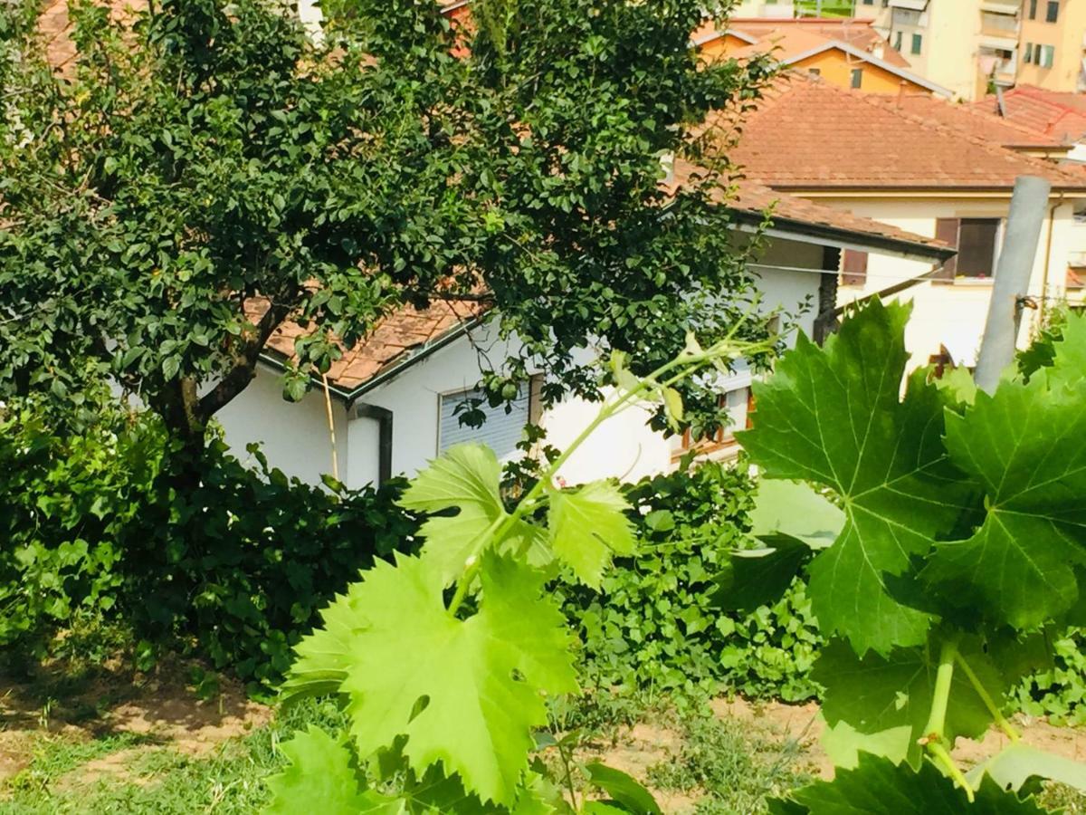 La Collina Di Albiro Affittacamere Arcola Eksteriør bilde