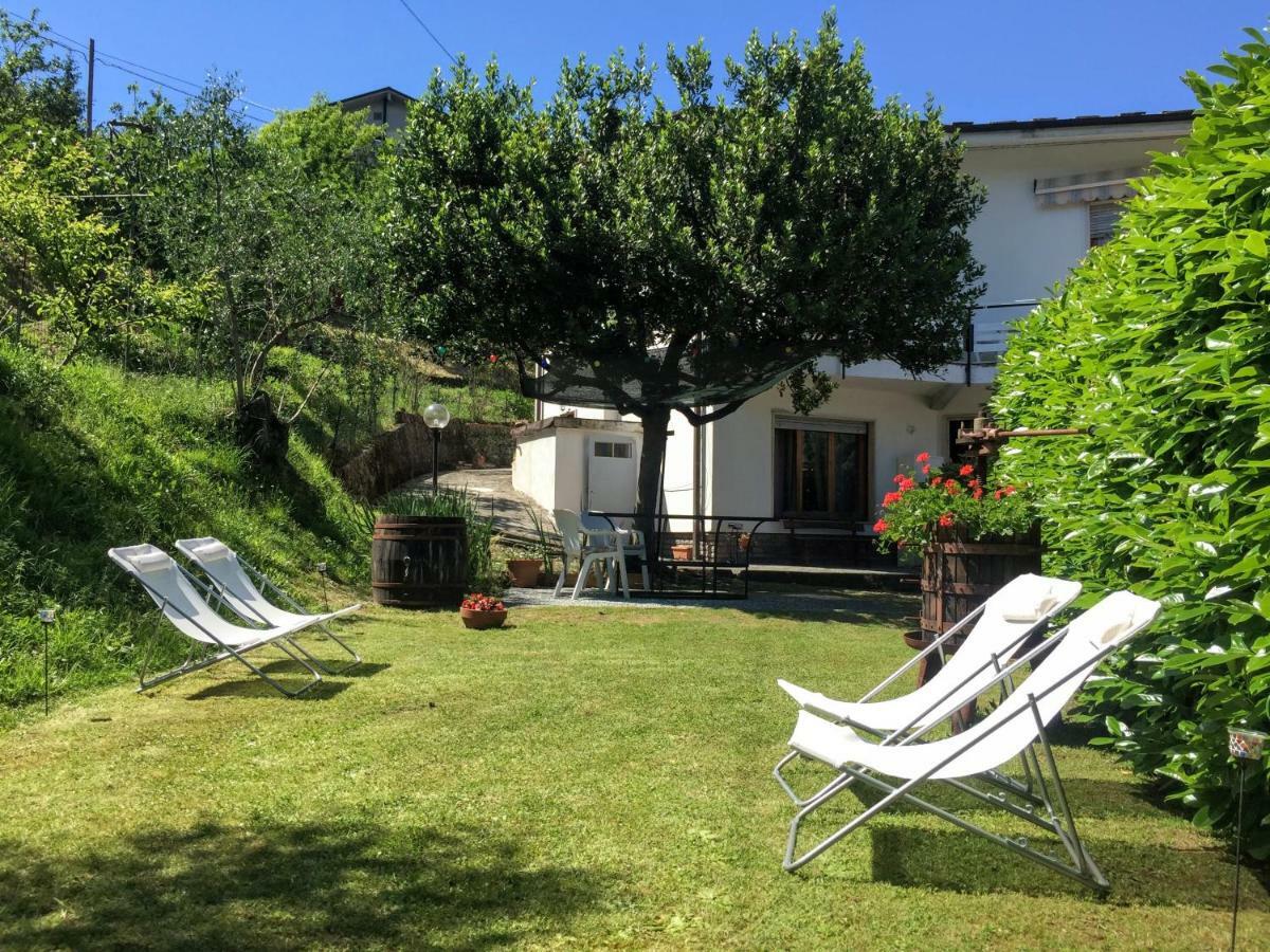 La Collina Di Albiro Affittacamere Arcola Eksteriør bilde